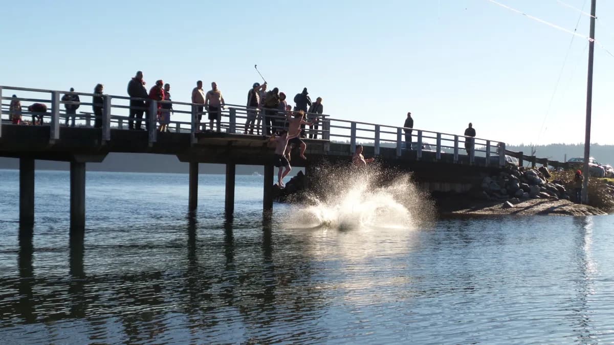 Plungers leaping off the Olalla dock into the bay while a crowd watches from the railing